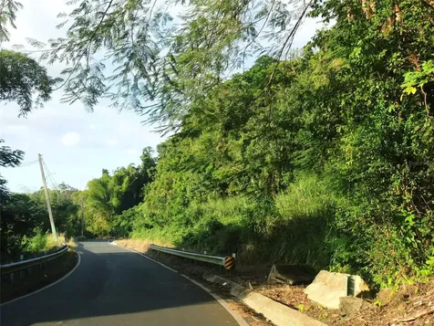 PR181 Km 53.3 Sector La Silla Carr 941 Gurabo PR 00778