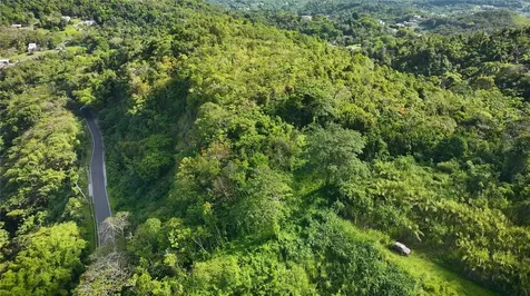PR181 Km 53.3 Sector La Silla Carr 941 Gurabo PR 00778