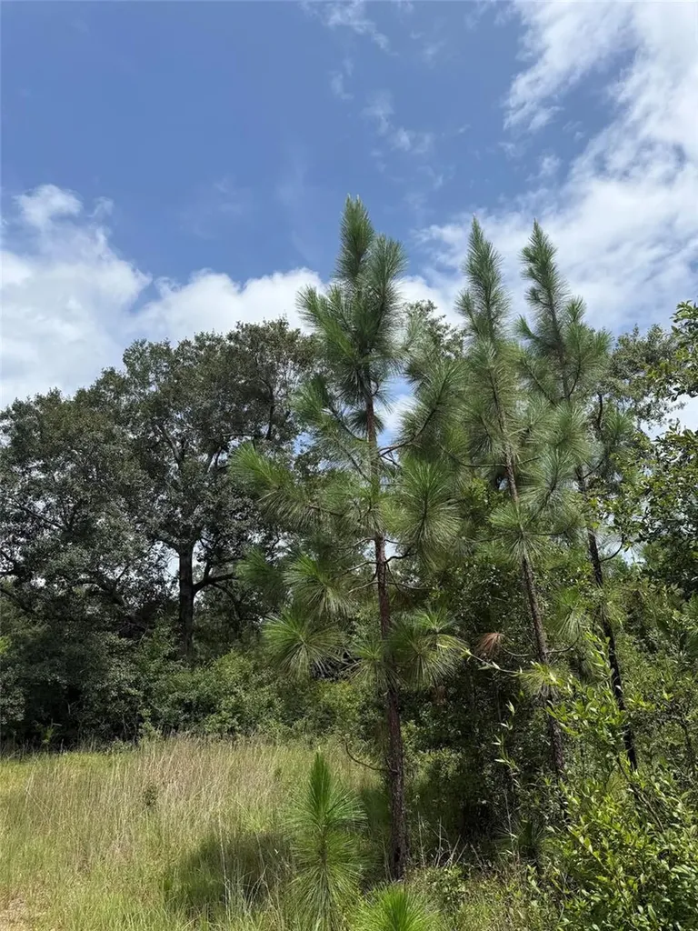 978 Joiner Road Chipley FL 32428