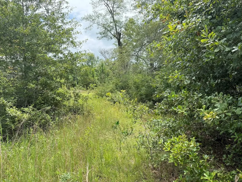 978 Joiner Road Chipley FL 32428