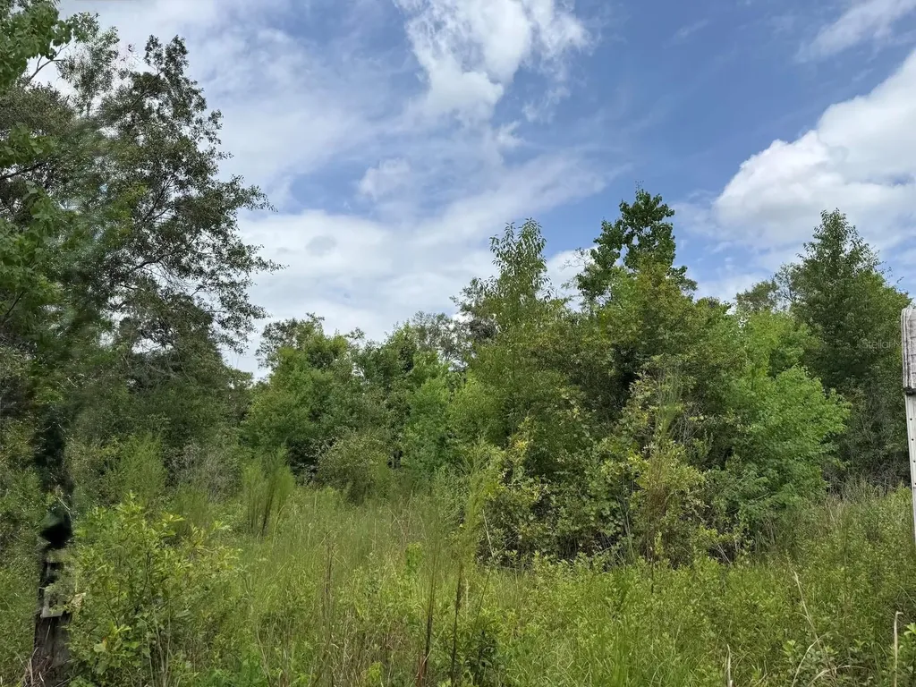 978 Joiner Road Chipley FL 32428