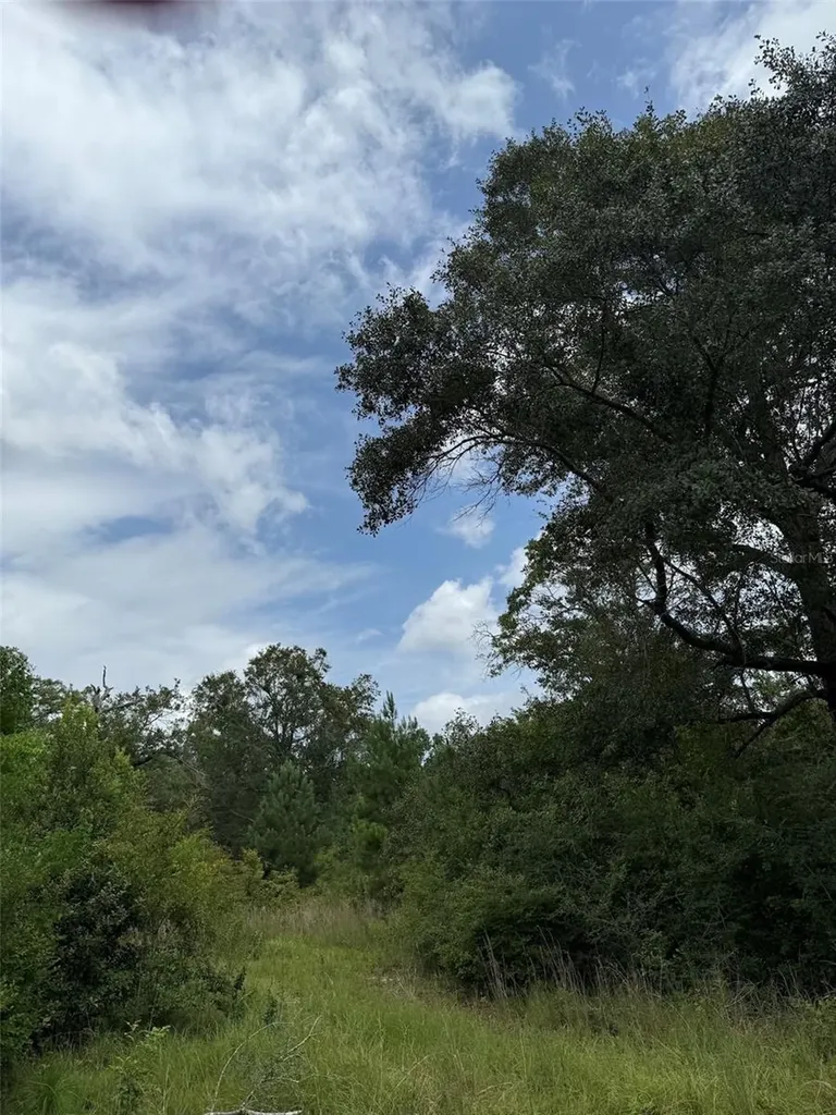 978 Joiner Road Chipley FL 32428
