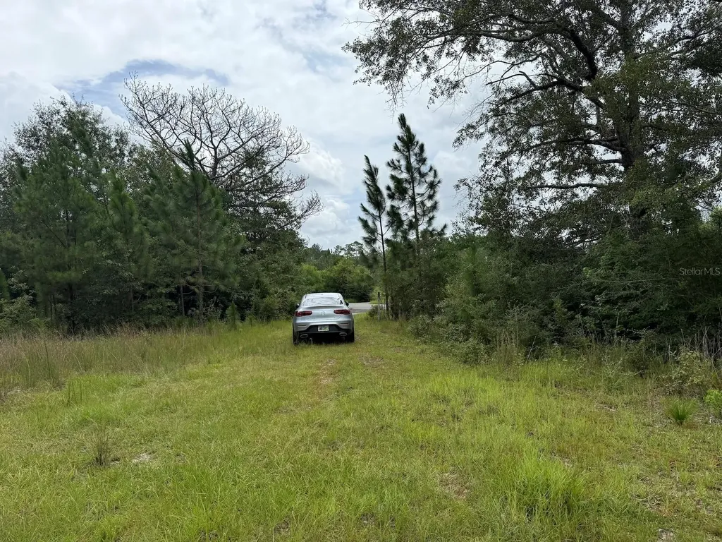 978 Joiner Road Chipley FL 32428