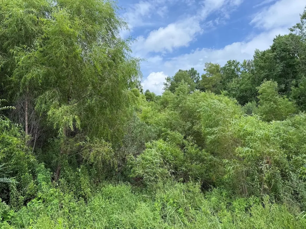978 Joiner Road Chipley FL 32428