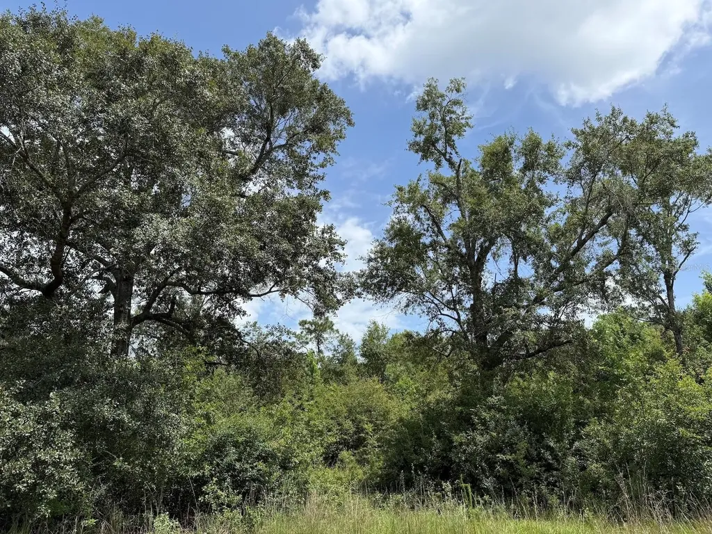 978 Joiner Road Chipley FL 32428