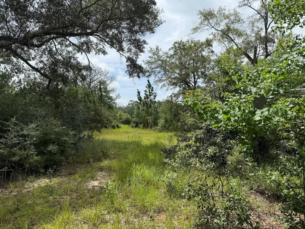 978 Joiner Road Chipley FL 32428