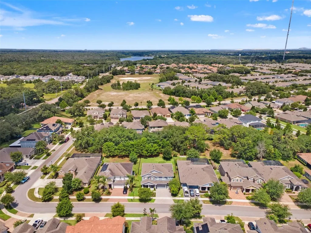6334 Knob Tree Drive Lithia FL 33547