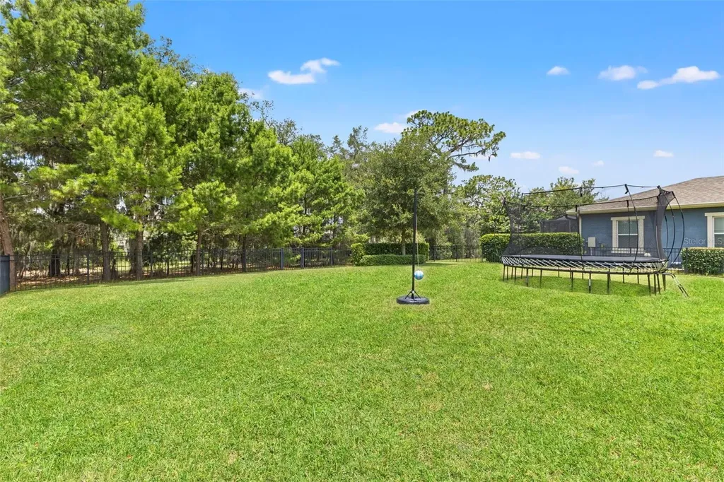 6334 Knob Tree Drive Lithia FL 33547