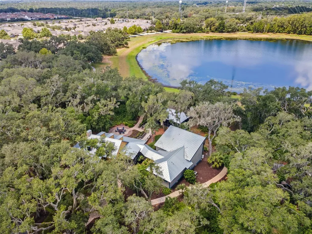 6334 Knob Tree Drive Lithia FL 33547