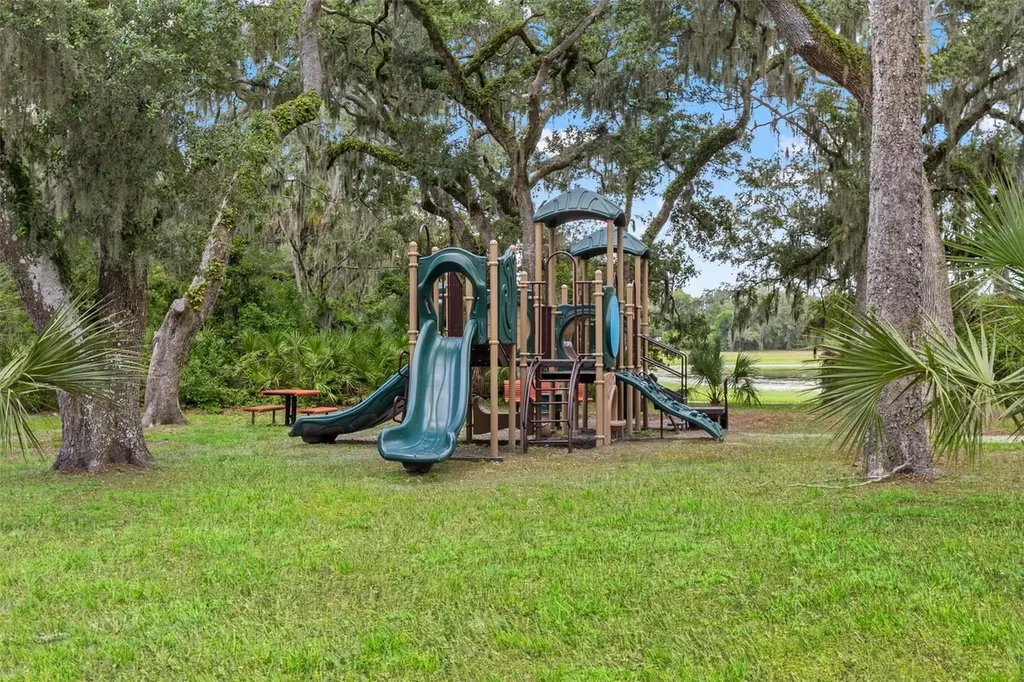 6334 Knob Tree Drive Lithia FL 33547