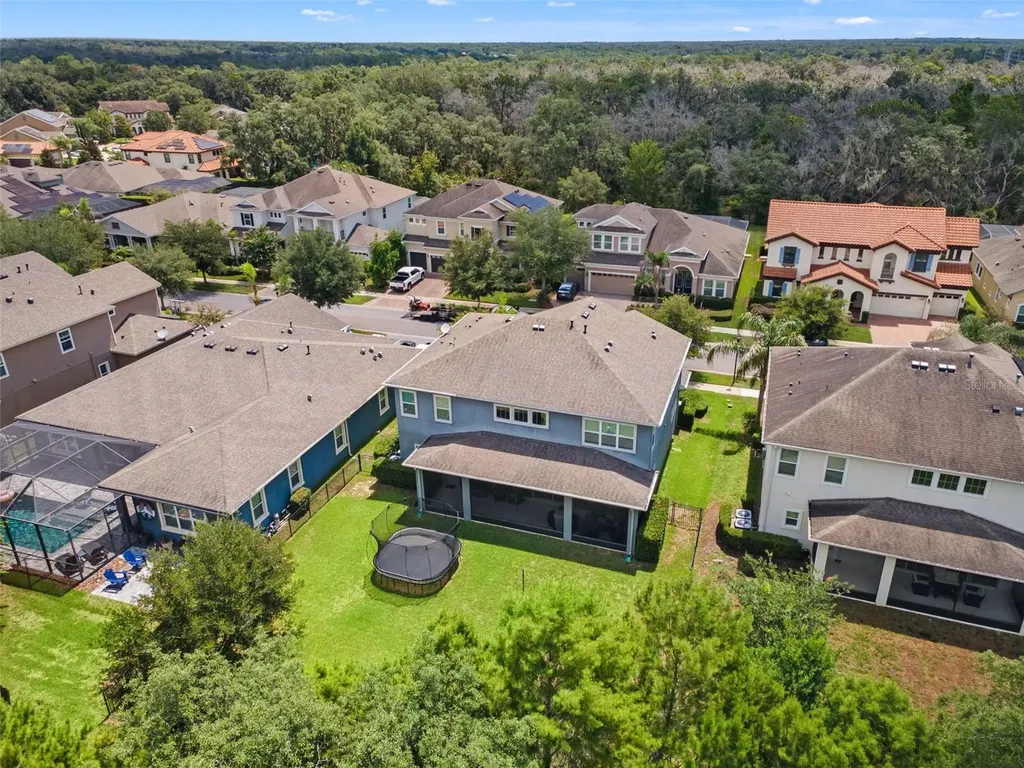 6334 Knob Tree Drive Lithia FL 33547