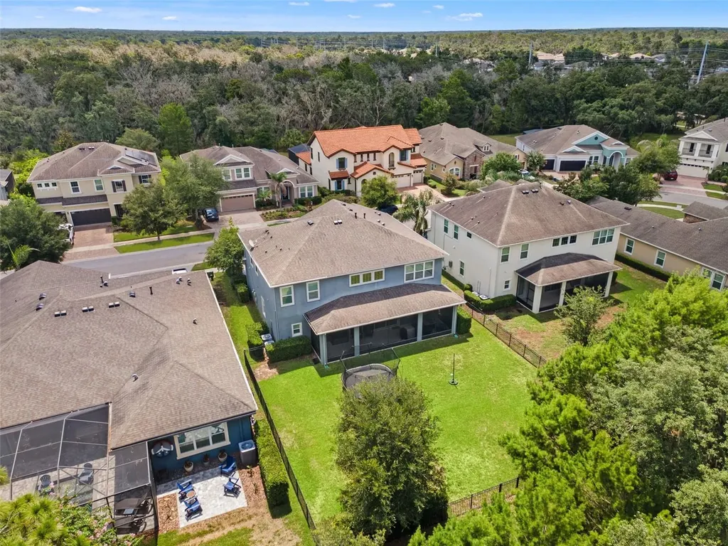6334 Knob Tree Drive Lithia FL 33547