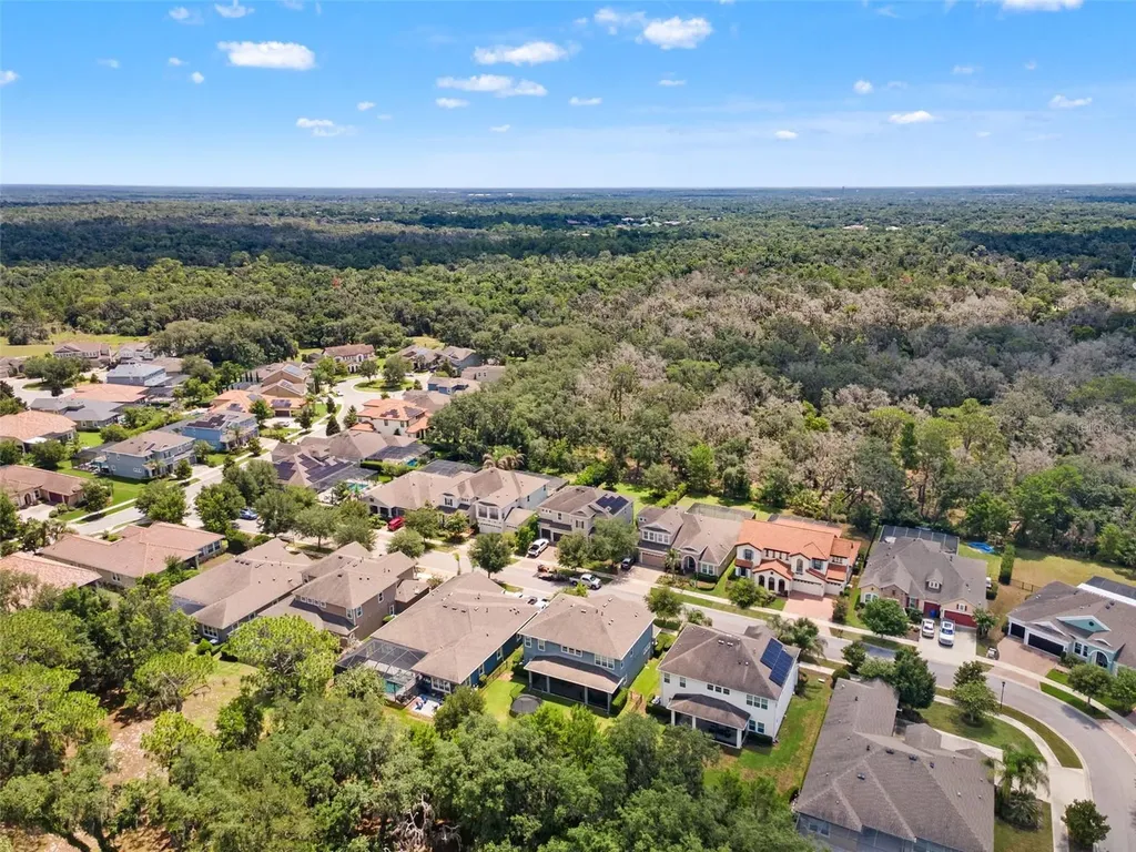 6334 Knob Tree Drive Lithia FL 33547