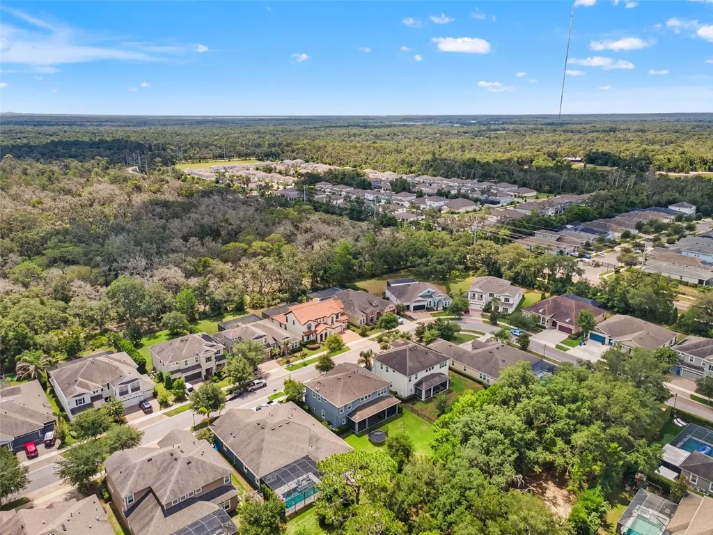 6334 Knob Tree Drive Lithia FL 33547