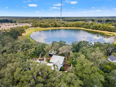 6334 Knob Tree Drive Lithia FL 33547