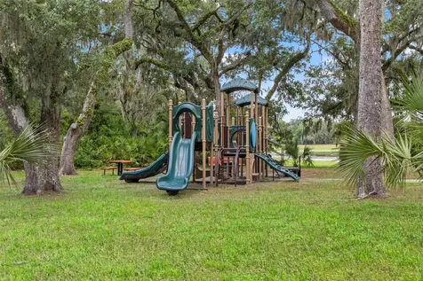 6334 Knob Tree Drive Lithia FL 33547