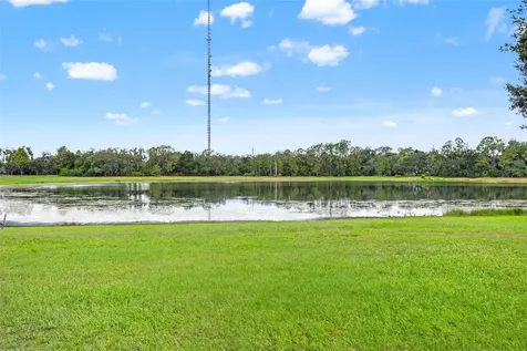 6334 Knob Tree Drive Lithia FL 33547