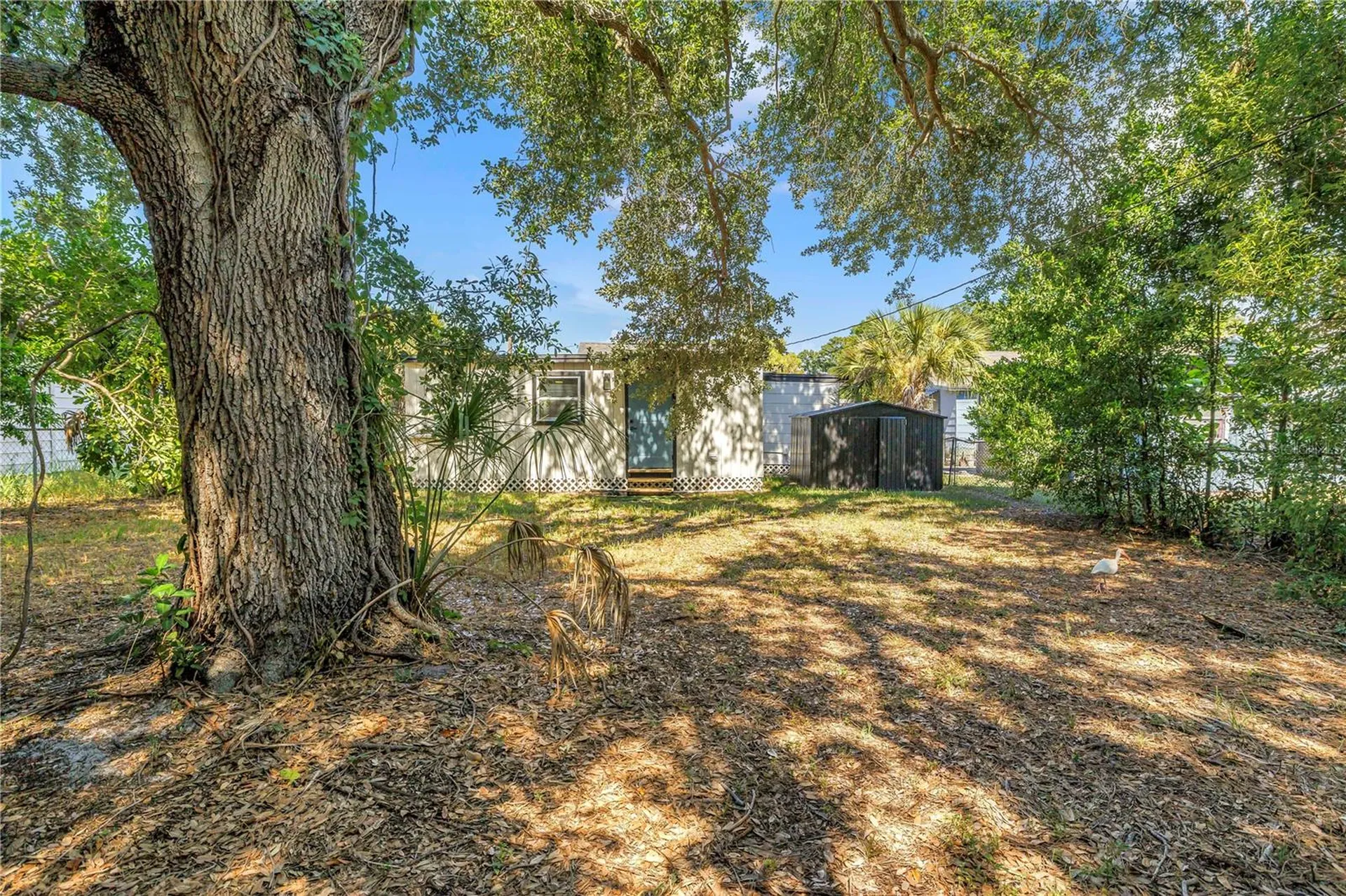 1537 39th Street S St Petersburg FL 33711