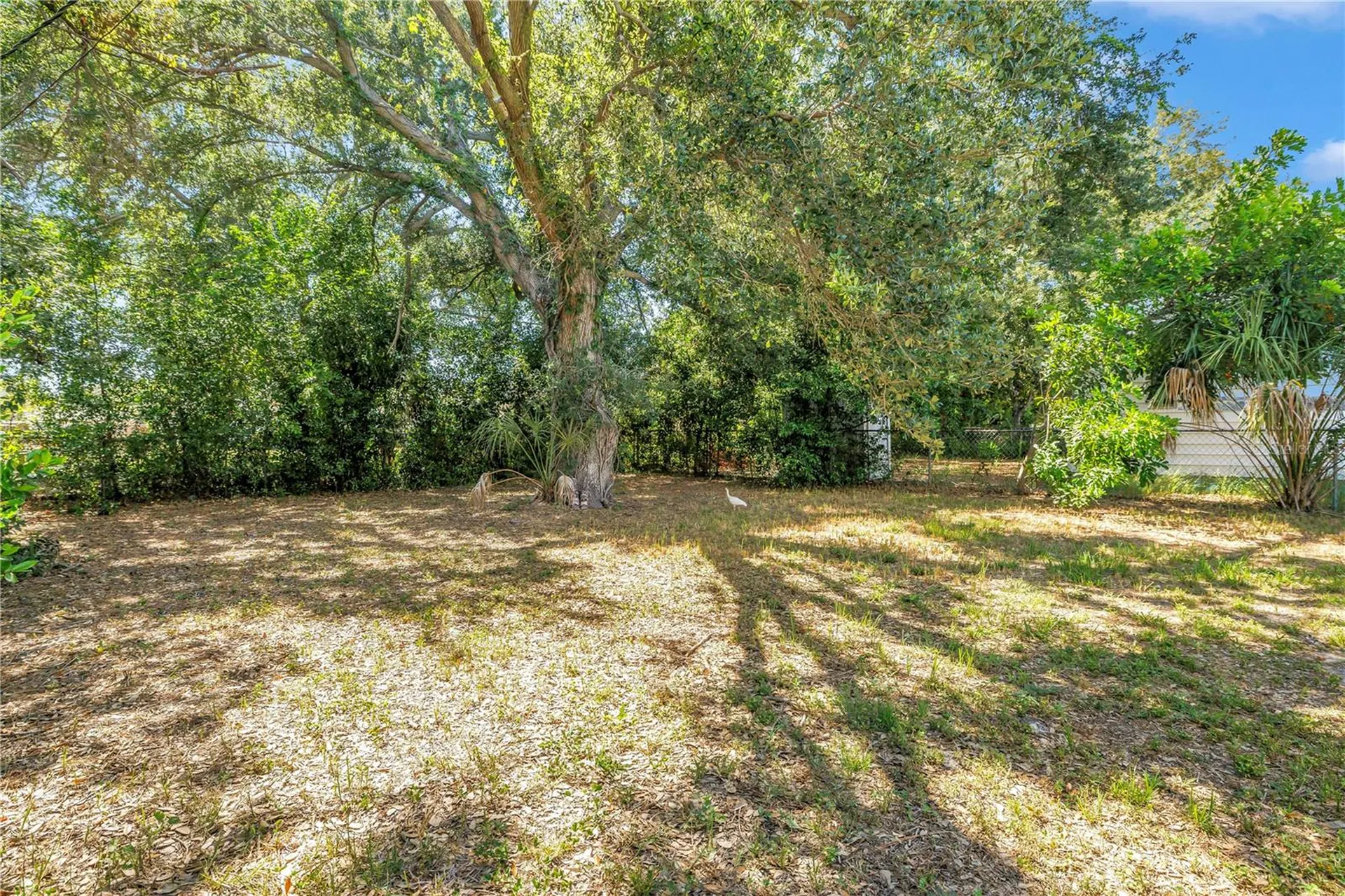 1537 39th Street S St Petersburg FL 33711