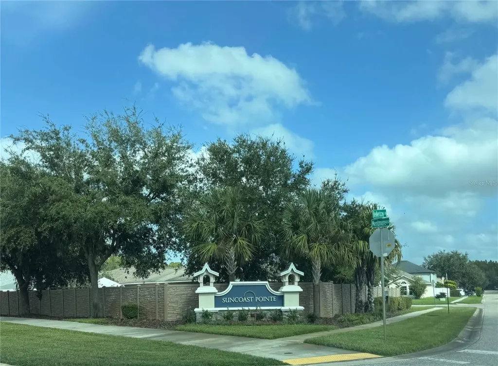 3226 Bellericay Lane Land O Lakes FL 34638