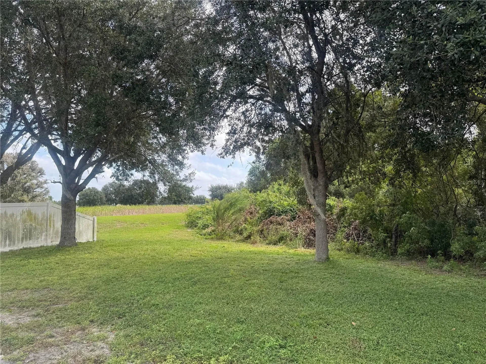 3226 Bellericay Lane Land O Lakes FL 34638
