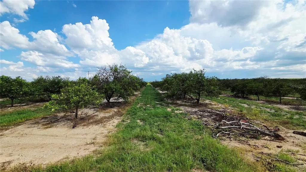 0 Seminole Road Babson Park FL 33827
