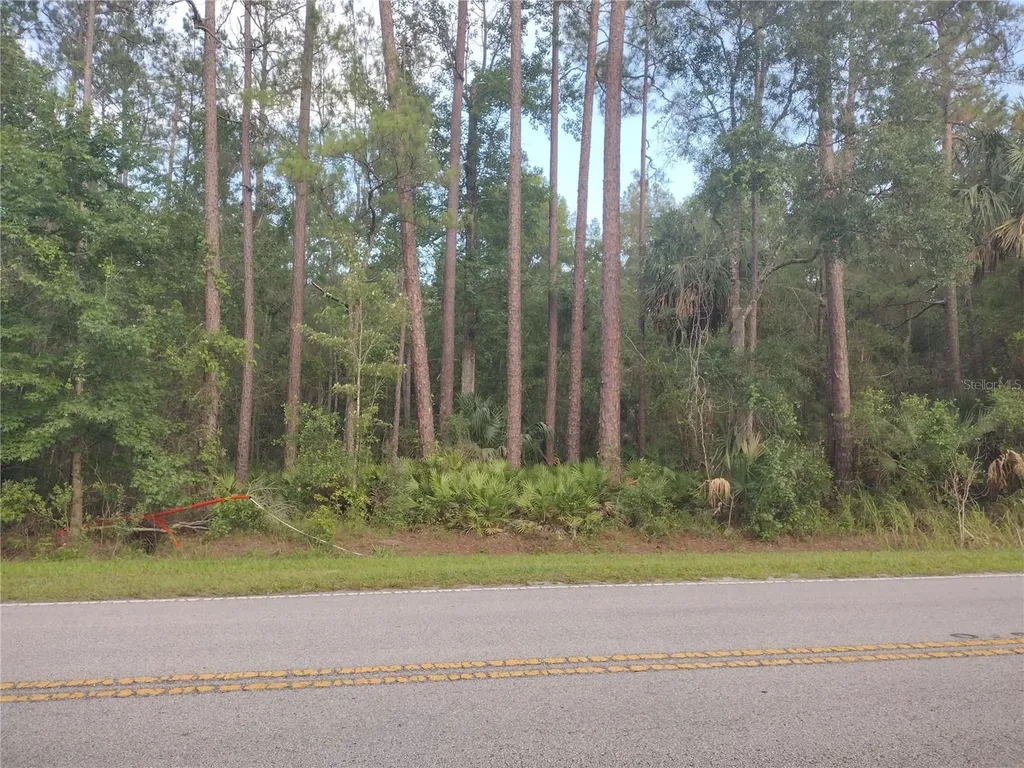 NE Hwy 314 Highway NE Silver Springs FL 34488