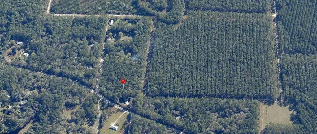 NE Hwy 314 Highway NE Silver Springs FL 34488