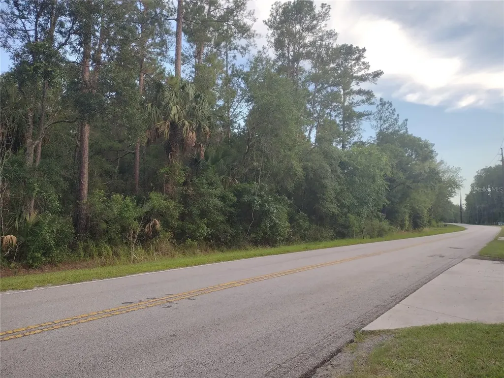 NE Hwy 314 Highway NE Silver Springs FL 34488