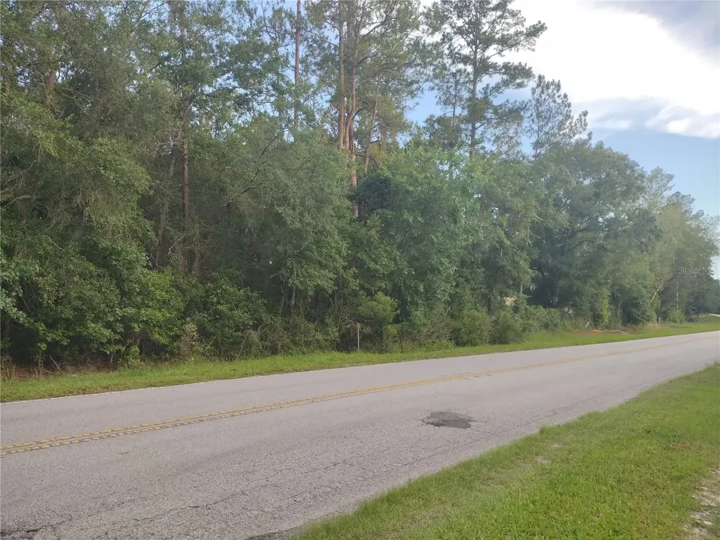 NE Hwy 314 Highway NE Silver Springs FL 34488