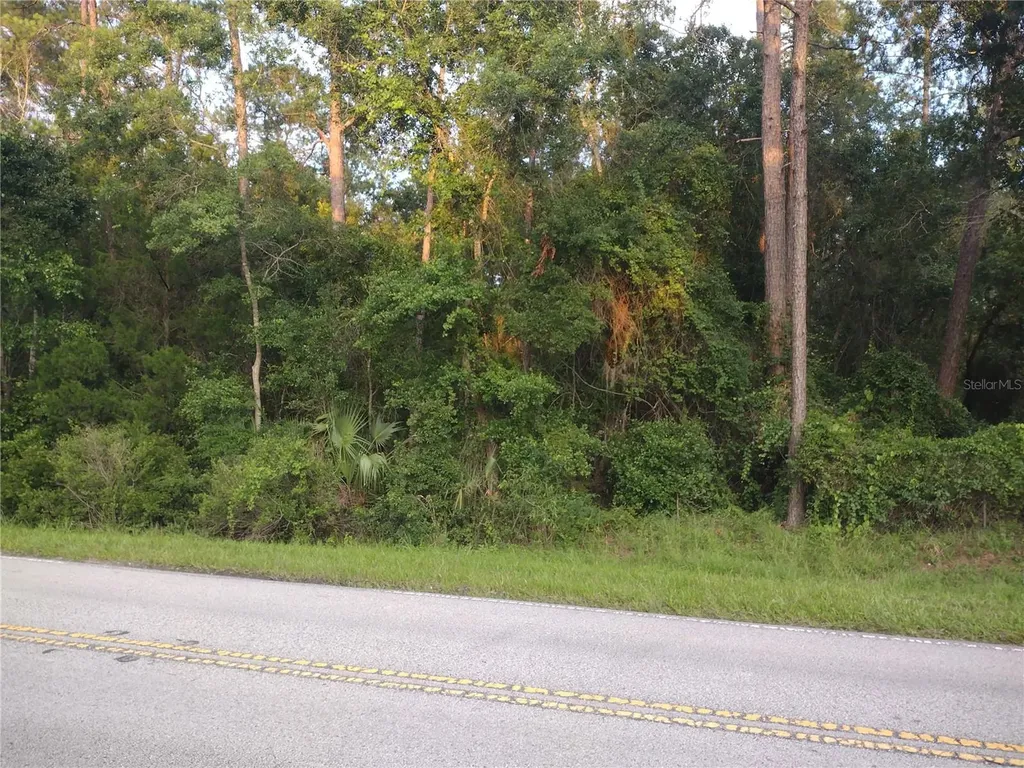 NE Hwy 314 Highway NE Silver Springs FL 34488