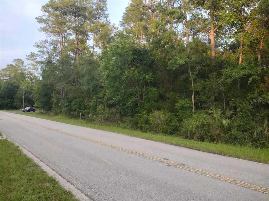 NE Hwy 314 Highway NE Silver Springs FL 34488