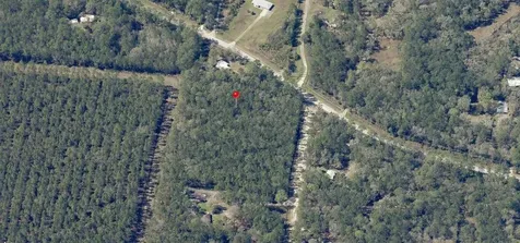 NE Hwy 314 Highway NE Silver Springs FL 34488