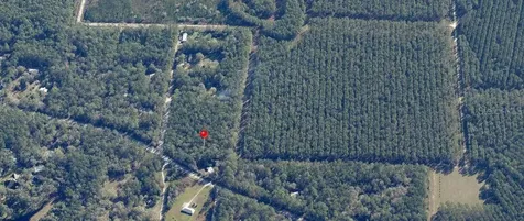 NE Hwy 314 Highway NE Silver Springs FL 34488