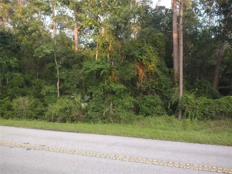 NE Hwy 314 Highway NE Silver Springs FL 34488