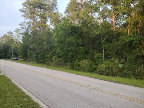 NE Hwy 314 Highway NE Silver Springs FL 34488