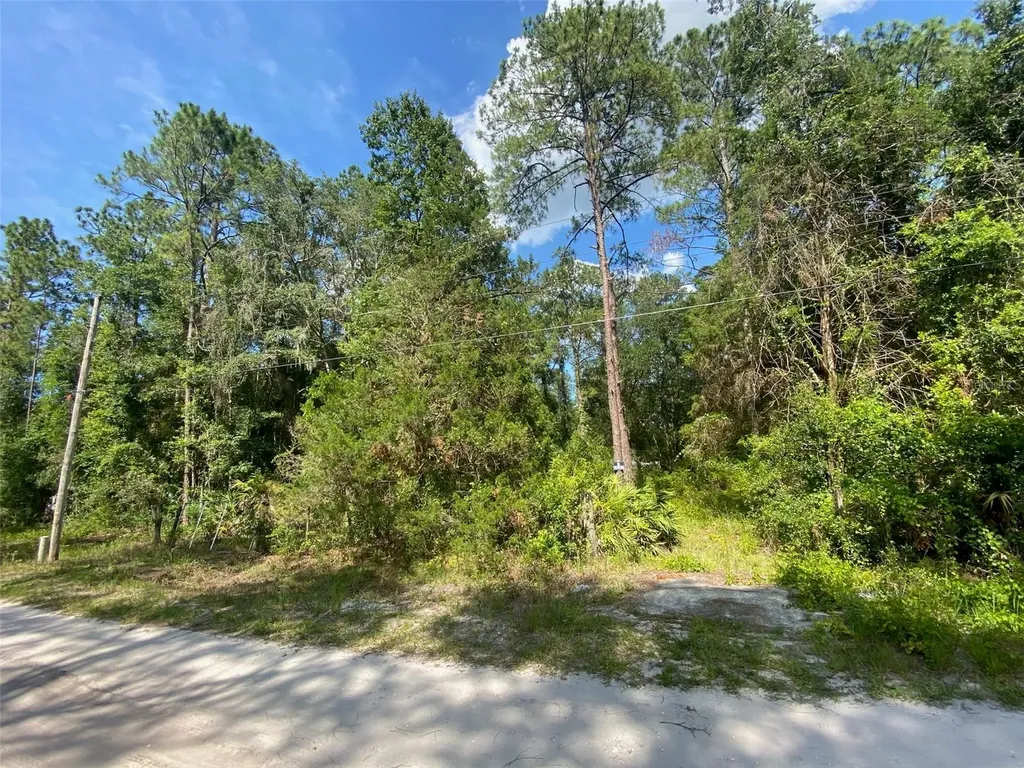 13701 NE 66th Avenue Citra FL 32113