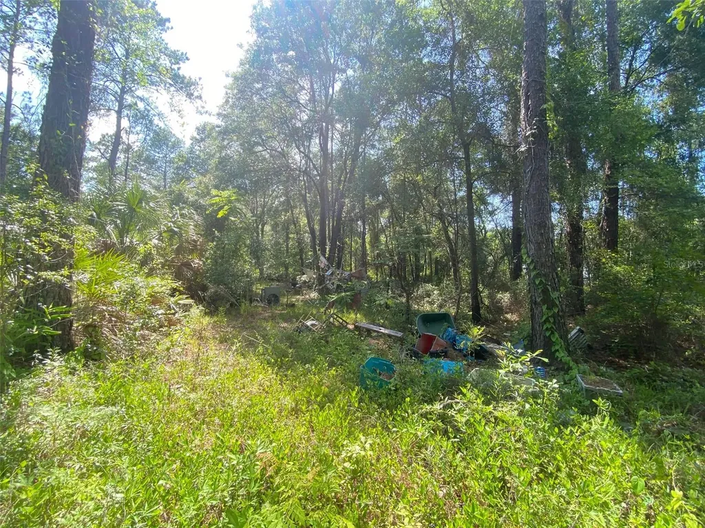 13701 NE 66th Avenue Citra FL 32113