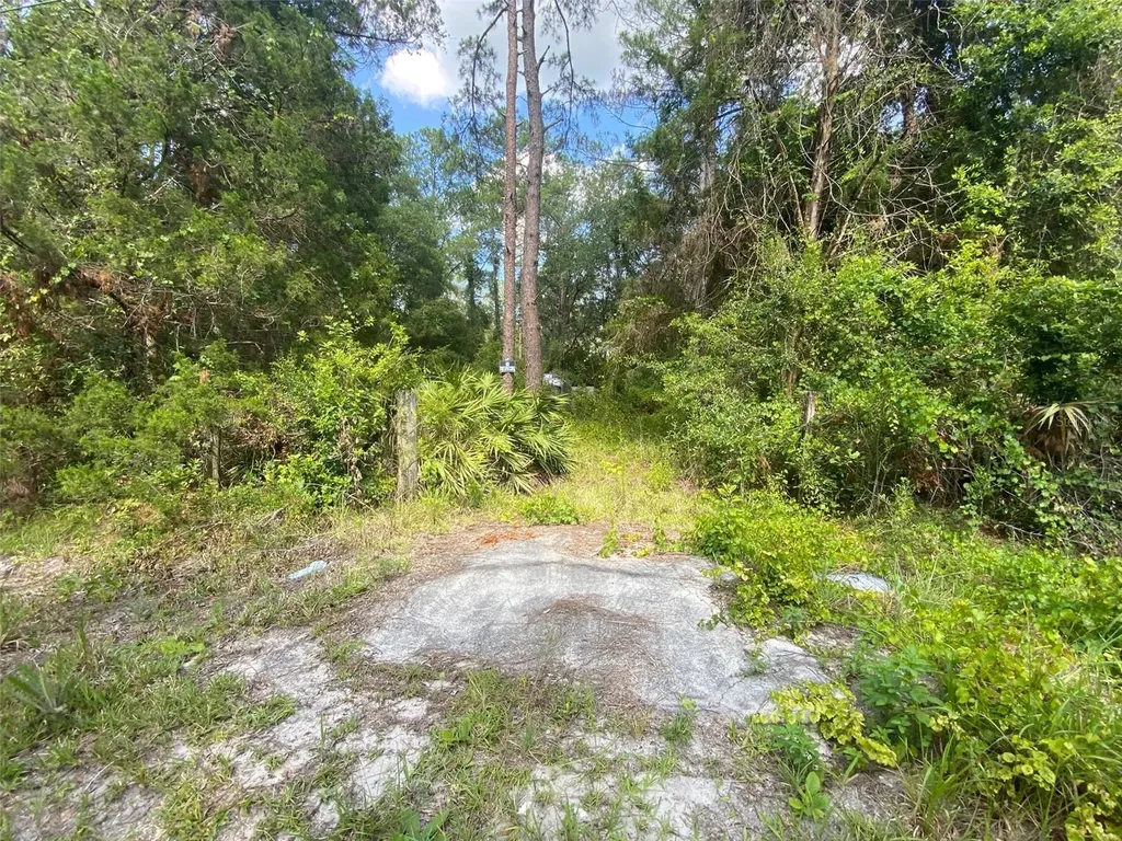13701 NE 66th Avenue Citra FL 32113
