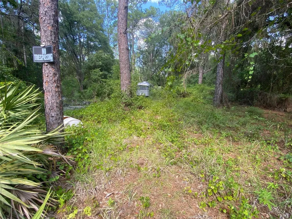 13701 NE 66th Avenue Citra FL 32113