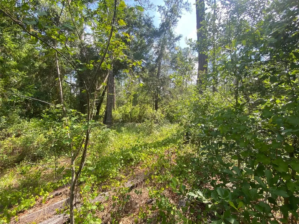 13701 NE 66th Avenue Citra FL 32113