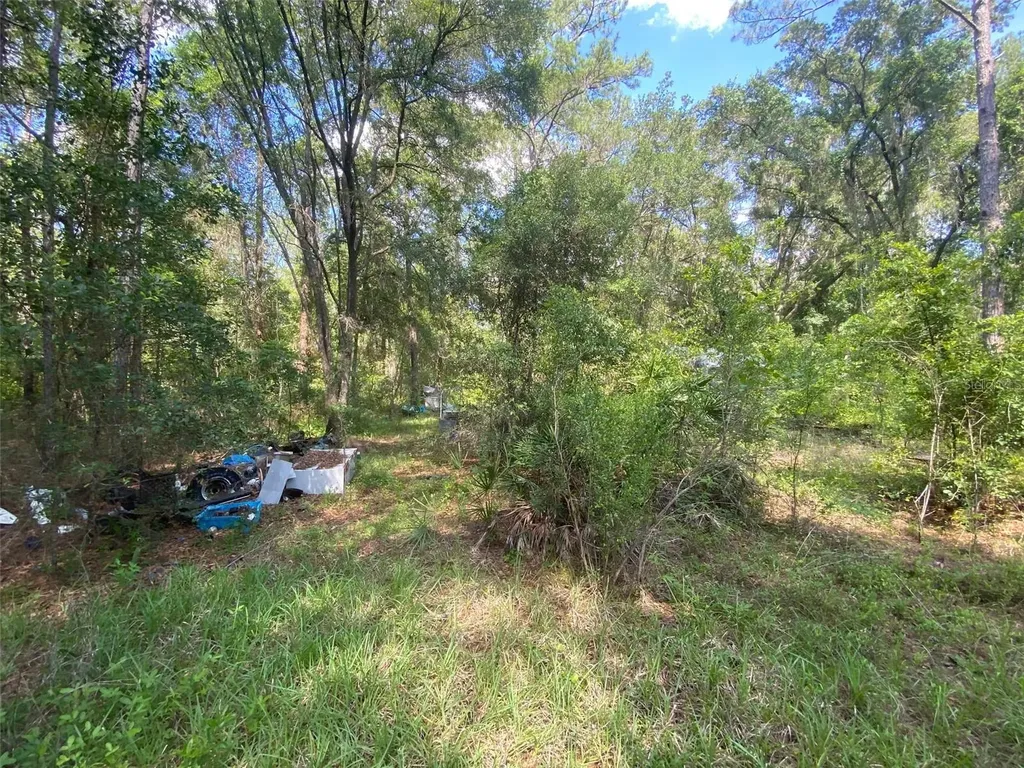 13701 NE 66th Avenue Citra FL 32113