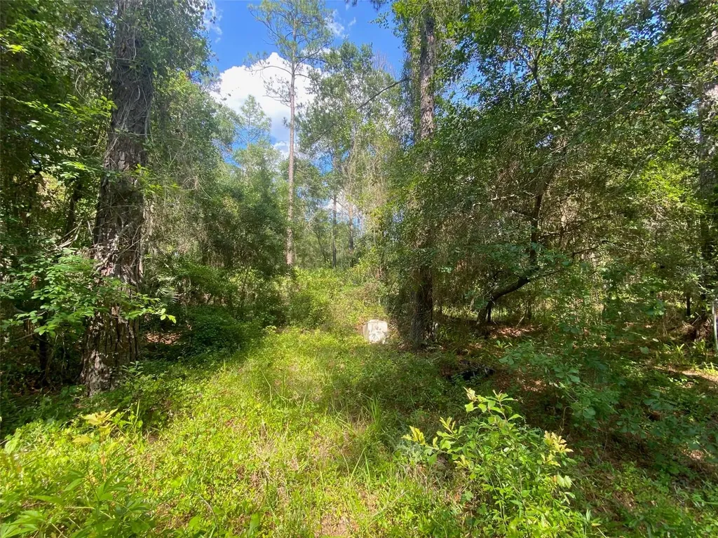 13701 NE 66th Avenue Citra FL 32113
