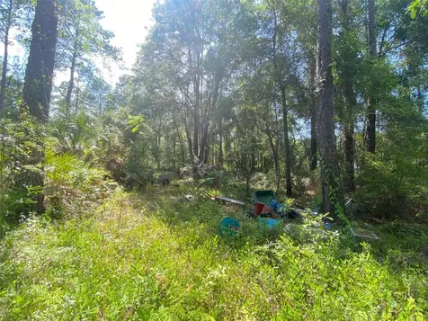 13701 NE 66th Avenue Citra FL 32113