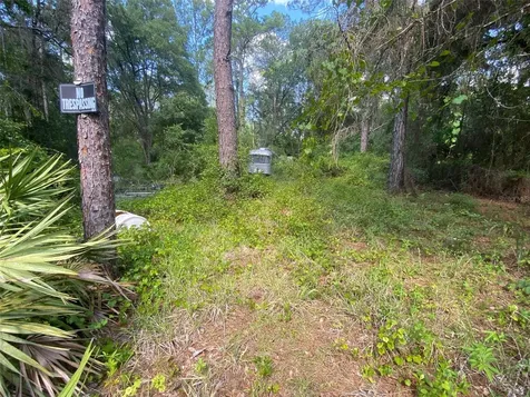 13701 NE 66th Avenue Citra FL 32113
