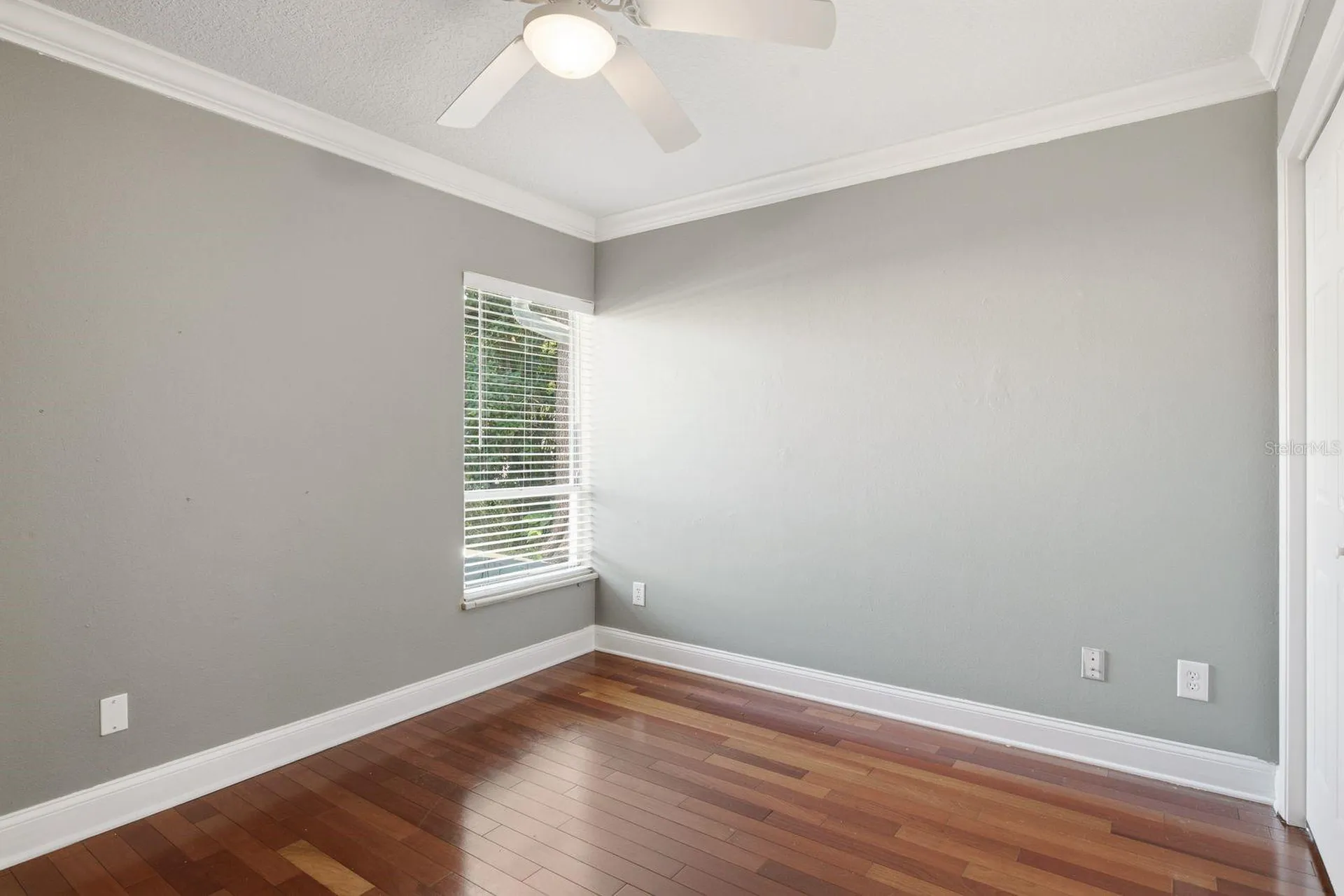 10907 Autumn Oak Place Tampa FL 33618