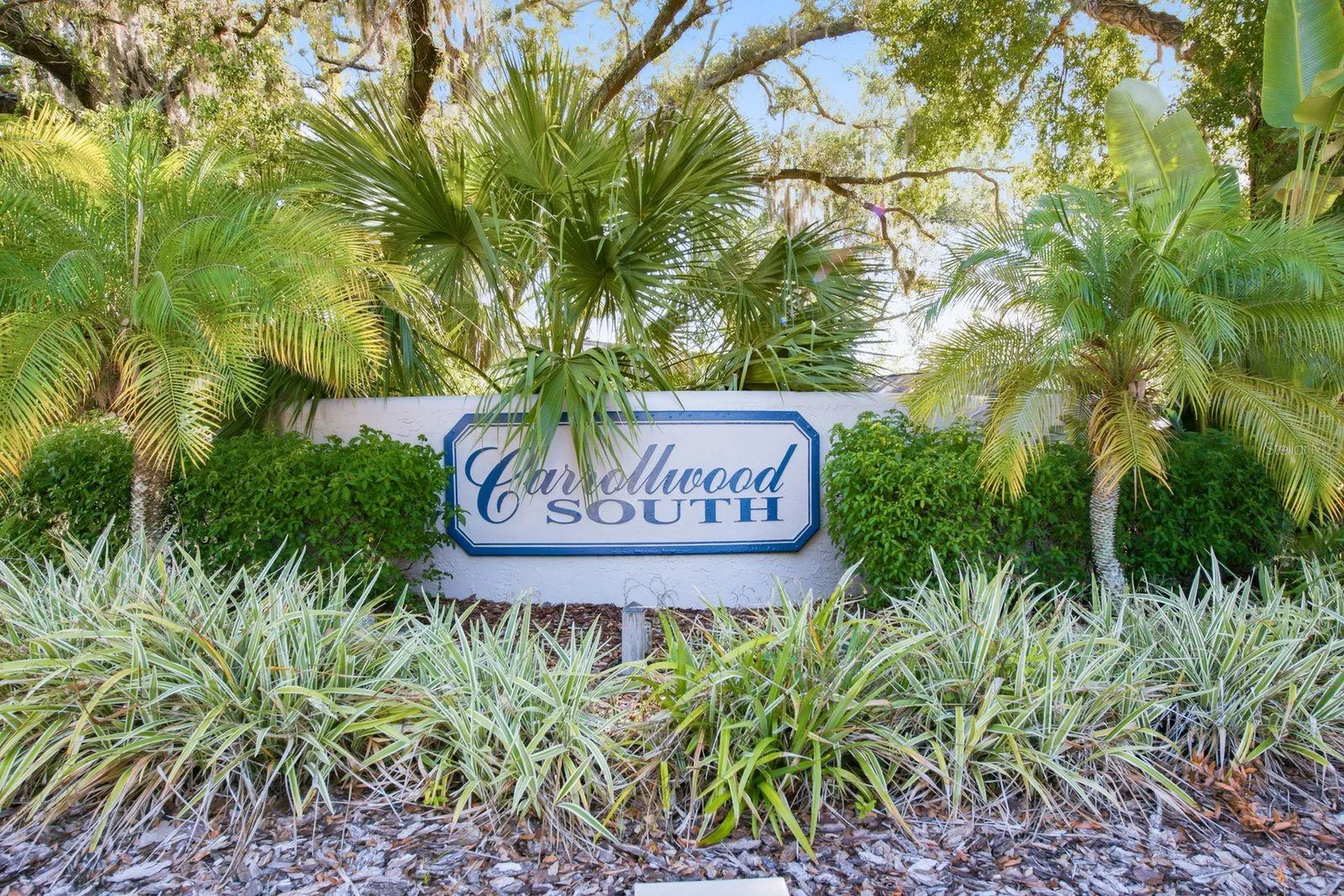10907 Autumn Oak Place Tampa FL 33618