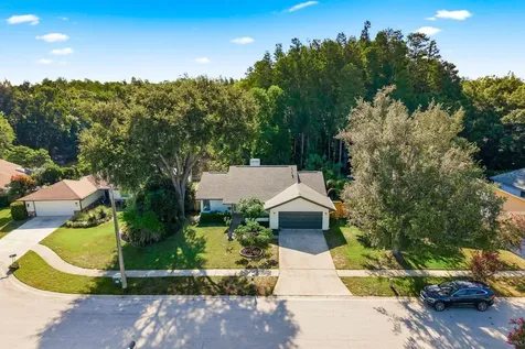 10907 Autumn Oak Place Tampa FL 33618