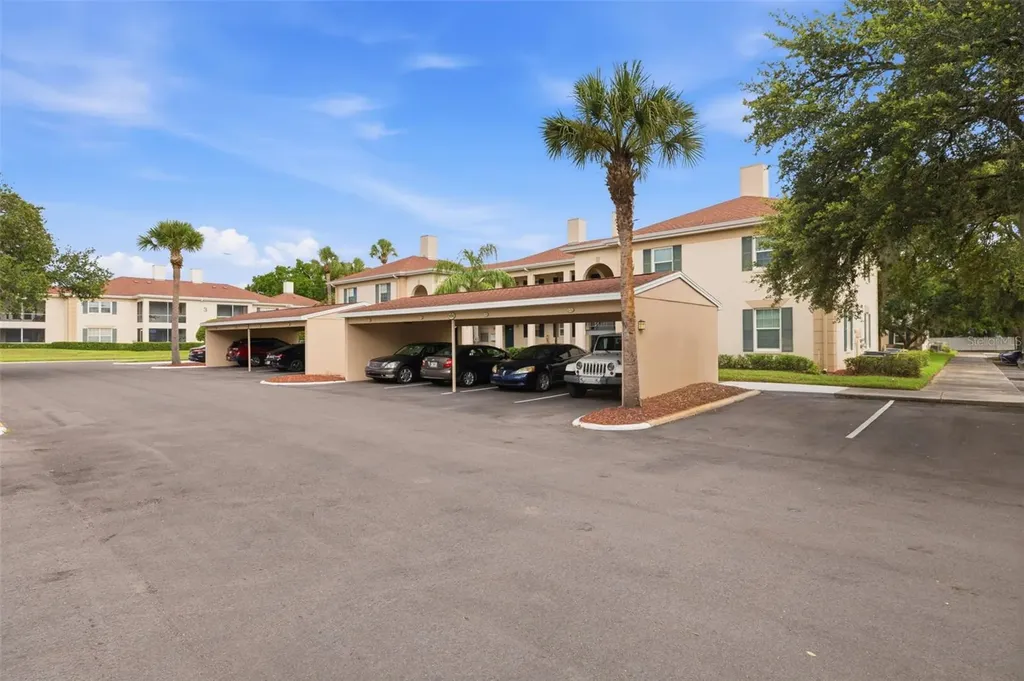 10316 Club Circle Tampa FL 33618