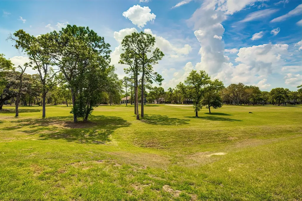12 Anton Court Homosassa FL 34446